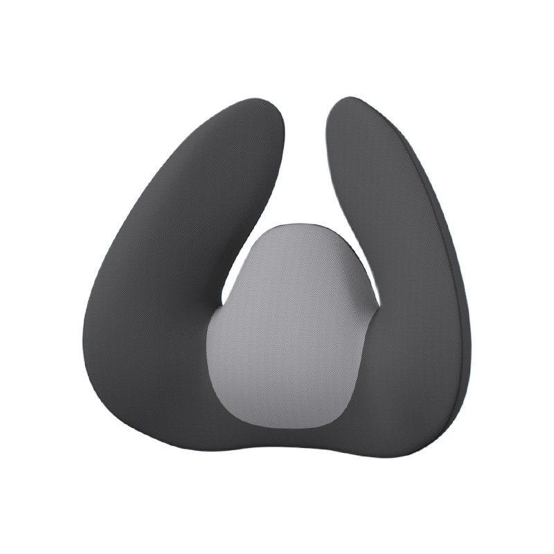 Mémoire de mousse W-automotive Coussin de dos